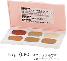 DT カモフラージュコンシーラ 2g(7色)
