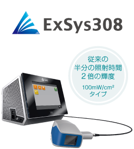 ExSys 308