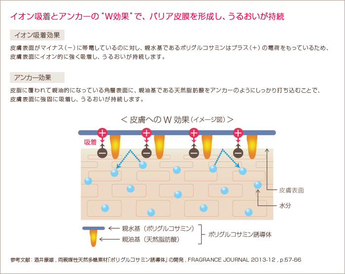 イオン吸着とアンカーのW効果で、バリア皮膜を形成し、うるおいが持続