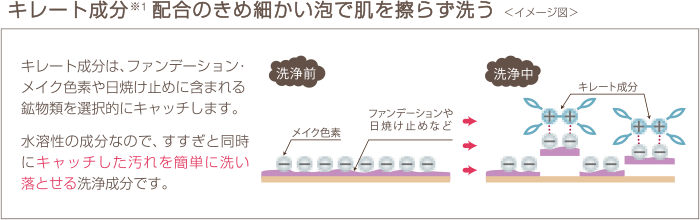 キレート成分配合のきめ細かい泡で肌を擦らず洗う