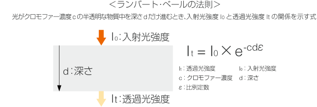 ¥é¥ó¥Ð¡¼¥ÈŽ¥¥Ù¡¼¥ë¤Îˡ§